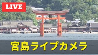 【LIVE】宮島ライブカメラ/Miyajima live camera