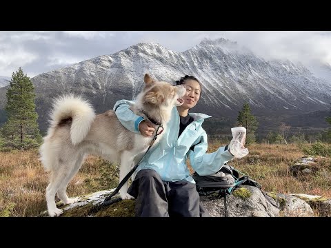 我办的什么签证来挪威？我放弃西班牙非盈利了吗？