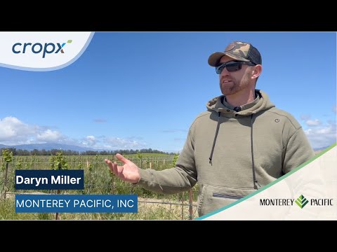 Monterey Pacific Makes Confident Irrigation Decisions and Improves Weed Prevention with CropX