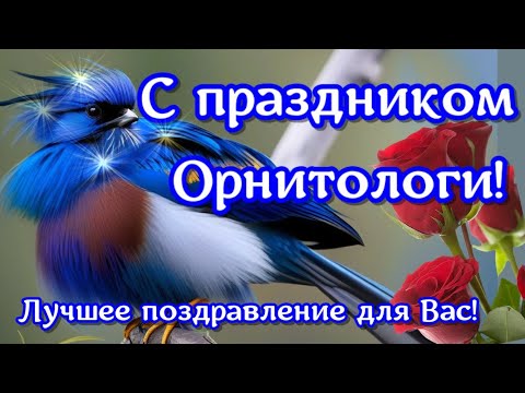 Поздравляю ОРИЕНТОЛОГА с праздником🌹вы хранитель крылатых🌹с вами мир птиц ярче🌹Пожелания орнитологу