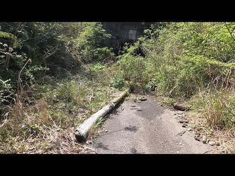 三重県道734号線　旧道　矢口隧道