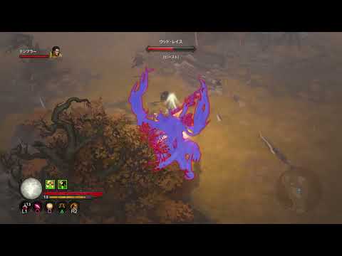 PS4日本語版　Diablo III （ディアブロ３） ACT１その５　苦難の荒野～製粉所～水没した寺院入口まで　（Crusader編）