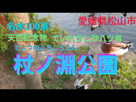 【杖ノ淵公園】名水100選に選ばれた湧水。弘法大師空海伝説が残る公園【愛媛県松山市】【Joonofuchi Park】Top 100 Japanese Waters【Ehime Pref Japan】