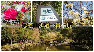 【大屯山系】忠義山步道、 小坪頂山、貴子坑親山步道、嗄嘮別公園O形路線 | 台北北投登山健行交通攻略 #4K 2021 #Taipei Travel