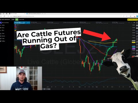 Are Cattle Futures Running Out of Gas?