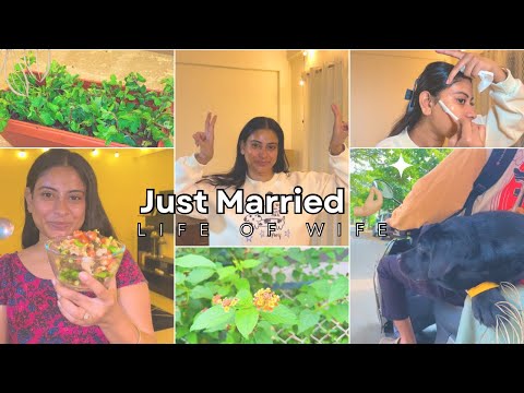 Newlyweds life in Bangalore 🌼✨🌈 | Making homemade pizza 🍕 | life as couple🙈 #newlyweds