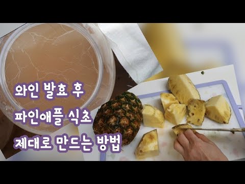 전통발효식초 만드는 법-2/다이어트에 인기만점인 파인애플식초 설탕에 식초/ 절임이 아닌 와인 발효 후 초산발효 하는 방법/