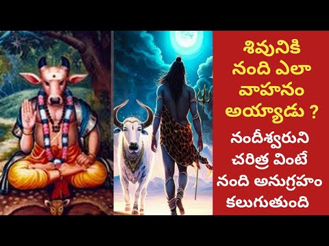 362.శివునికి నంది ఎలా వాహనం అయ్యాడు?నందీశ్వరుని చరిత్ర వింటే నంది అనుగ్రహంకలుగుతుంది #sreeyaskitchen