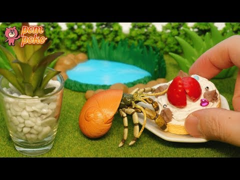 ヤドカリくんの家探し【ストップモーションアニメ】 / Hermit crab looking for a house