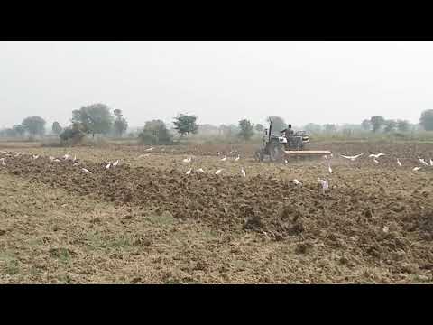 khet mein bij dalne se pahle khet ki taiyari kaise ki jati hai