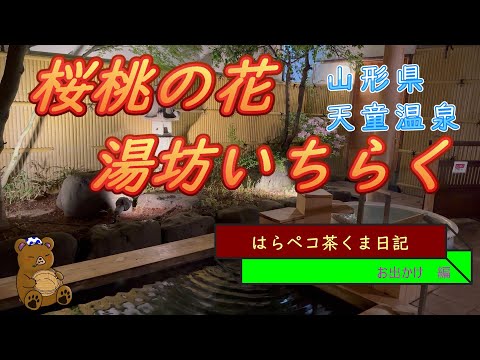 はらペコ茶くま日記　　天童温泉 いちらく　高コスパのオールインクルーシブの宿