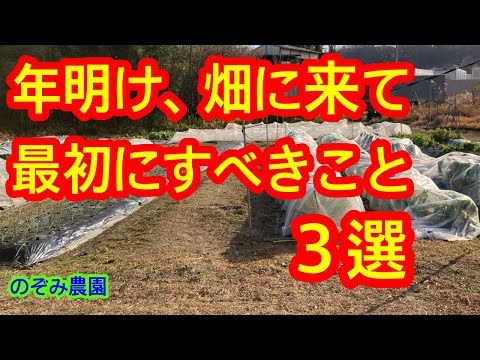 【もう畑に行きましたか？】年明け最初に畑に行って、まず確認して欲しいことを３つ言います。