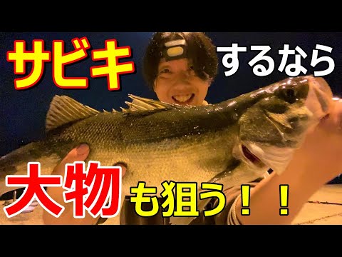 【福岡釣り】サビキをしながら足元の泳がせ釣りで簡単に大物ゲット！！　【37釣目】