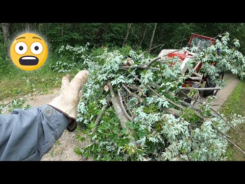 Downed Tree & Putting the B414 To Work with Vevor Pallet Forks