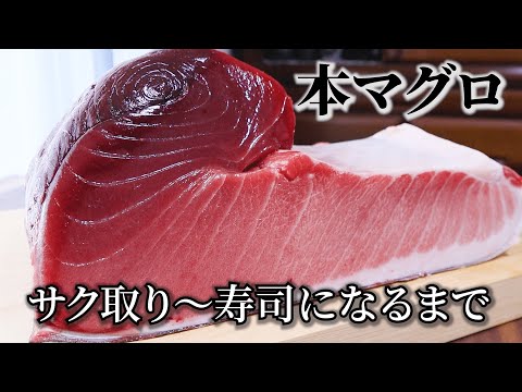 マグロの捌き方～大トロ中トロ赤身のサク取りから寿司になるまで