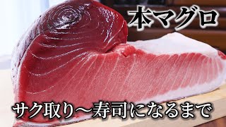 マグロの捌き方～大トロ中トロ赤身のサク取りから寿司になるまで