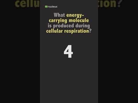 Biology Quiz: What energy-carrying molecule is produced during cellular respiration?