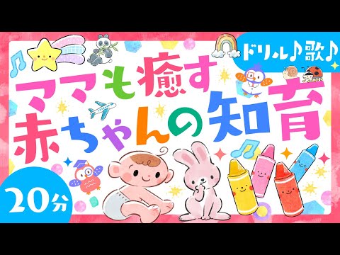 【赤ちゃんが喜ぶ音楽】ママも癒す赤ちゃんの知育🌲ö│歌♪音楽│ソポアートパーク公式0歳/1歳/2歳/3歳│赤ちゃんが泣き止む・知育動画│ 喜ぶ　笑う　寝る