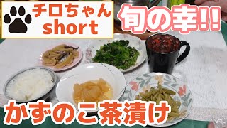 旬の幸の中に何故か数の子茶漬け。