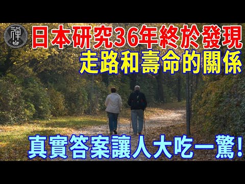 日本研究36年終於發現！走路和壽命竟有這種關係，若走路有這些特征，恭喜你！晚年必定無病無痛，輕鬆活到120歲 丨一禪