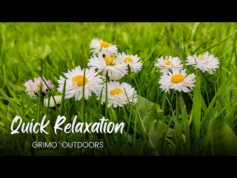 ❤ BIRDS SINGING & Spring Flowers in a rustic garden ❤ Quick Relaxation