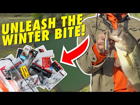 Pond Bass Fishing Unlocked this Winter!  (New Bank & Creek Kit)