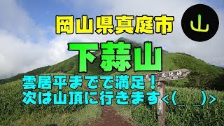 笹原の絶景！！下蒜山(しもひるぜん)の雲居平までお手軽登山！！(岡山県真庭市)