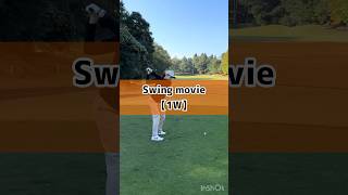 Swing movie【1W】#jlpga #ティーチングプロ