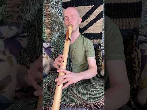 60 Seconds Of Inner Peace - A Mindful Moment Flute Meditation