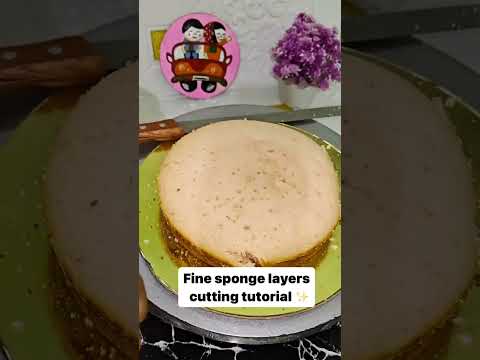 Sponge cutting tutorial ✨ #ytshorts #cake #Dreamycakehouse #tutorial #cakeartist