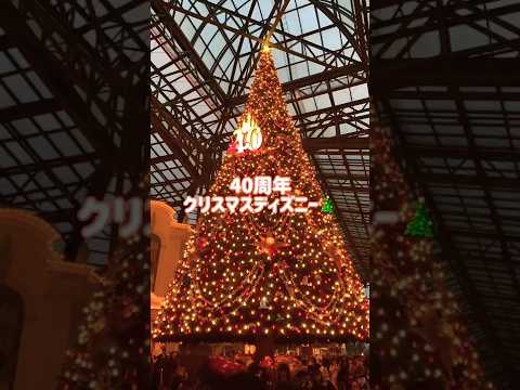 40周年クリスマスディズニー🎄#仲良し夫婦#Disney#クリスマスディズニー#40周年#TDL#shorts