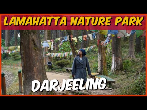 Lamahatta Tour | Lamahatta Eco Park Tour from Darjeeling