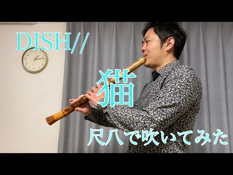 DISH// 【猫】　尺八で演奏してみた　　　SHAKUHACHI bamboo flute 川村葵山　kawamurakizan