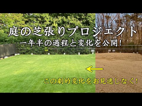 庭の芝張りプロジェクト：一年半の過程と変化を公開！