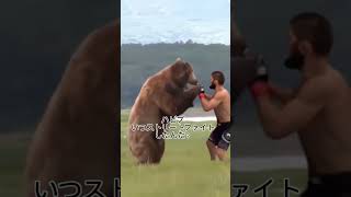 【日本語訳】クマと試合するハビブヌルマゴメドフ #rizin #ハビブヌルマゴメドフ #格闘技