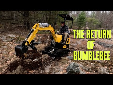 The Return of Bumblebee and the Water Situation