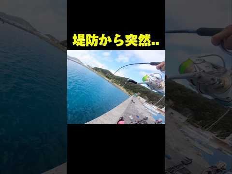 堤防から突然腕を持っていかれる大魚#釣り#沖縄#座間味島