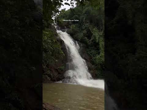 Most Majestic Waterfall In Odisha India 😍 #traveldiaries #waterfall #shorts #ytshorts #advanture