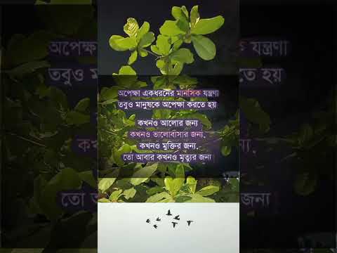 #foryoupage #foryou #banglaquatos