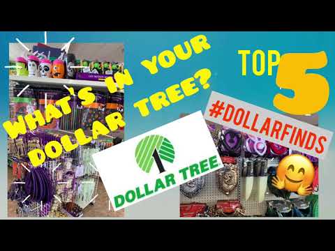 What's In Your Dollar Tree? | My Top 5 Dollar Finds