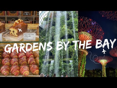 新加坡Vlog#2 | 咖啡界愛馬仕BACHA｜擎天樹SupertreeGrove浪漫燈光秀｜濱海灣花園GardensByTheBay｜雲霧林 Cloud Forest｜花穹FlowerDome｜