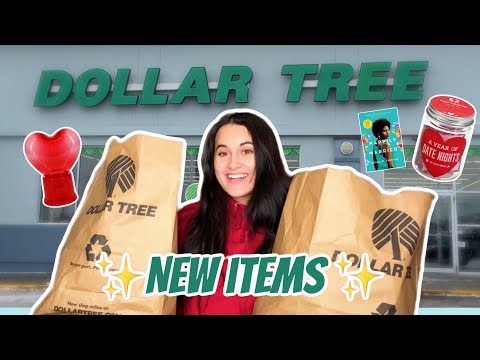 Dollar Tree Haul | *NEW FINDS*