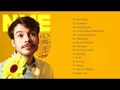 Rex Orange County 2023- The Best Of Rex Orange County Mix