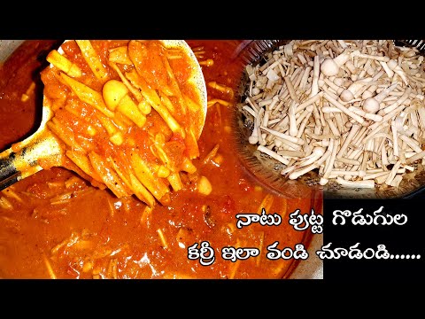 puttagodugula curry || puttagodugula kura || putta godugula curry in telugu || sandhyachakri vlogs