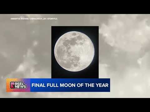 Did you see the Cold Moon, last full moon of 2024?