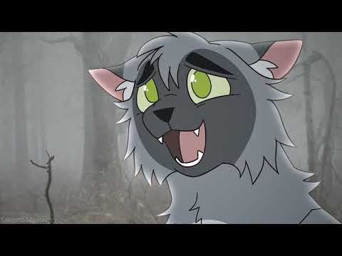 you used to be nice // warrior cats oc pmv