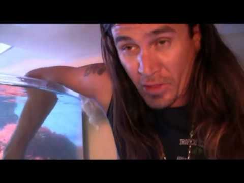 Rose Garden Anemone Tank, LA Fishguys Episode 91, Part 6