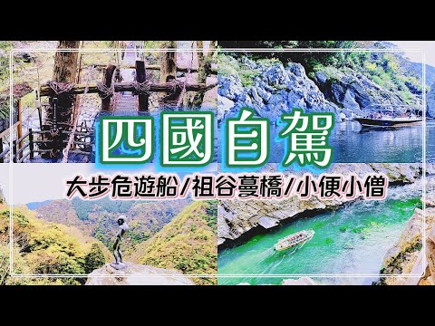 【日本旅遊】2023四國自駕賞楓｜大步危遊船｜祖谷蔓橋｜小便小僧｜景點+租車介紹