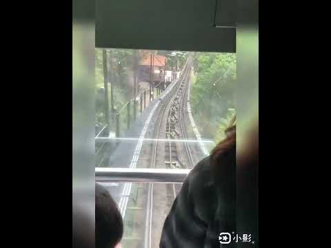 乘坐著升旗山軌道纜車到山頂，樹冠雨林山色秀美、密林層疊，輕鬆自在地享受觀景時光。下山時乘坐第一節車廂，正好俯瞰車子45度斜坡往下。