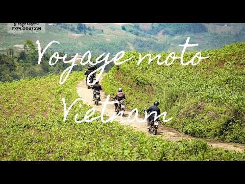 Voyage moto Vietnam  | Voyage en moto à Vu Linh | Les plantations du thé